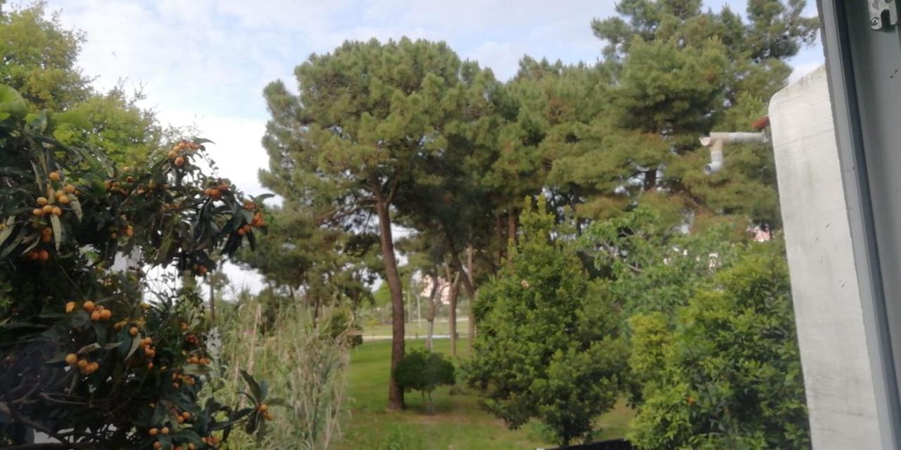 Guesthouse Marialva Park Corroios Eksteriør bilde